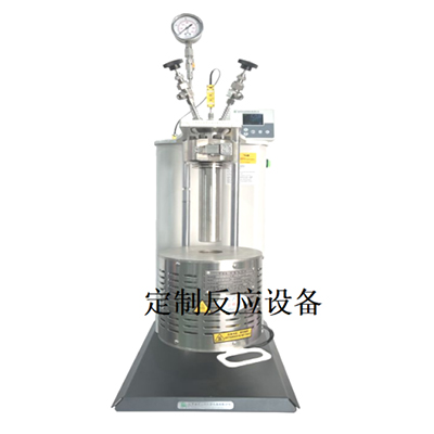 定制高压反应器